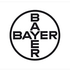 Bayer Bayer